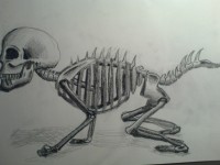 /album/sablo/dsc00017-jpg/